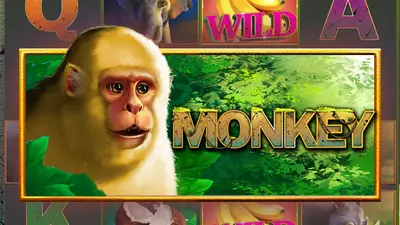monkey 7